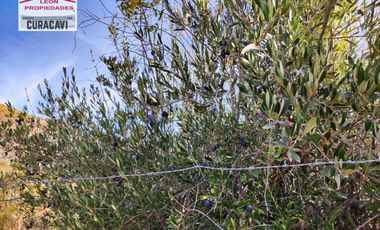 León Propiedades vende  Casa en Parcela en Miraflores