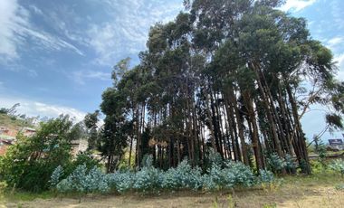 VENTA QUINTA CIUDAD DE OTAVALO
