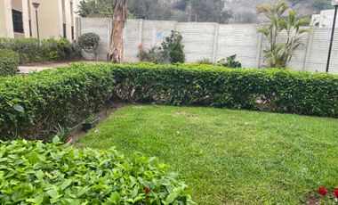 Departamento, alquiler, La Molina.