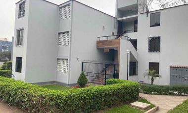 Departamento, alquiler, La Molina.