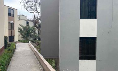 Departamento, alquiler, La Molina.