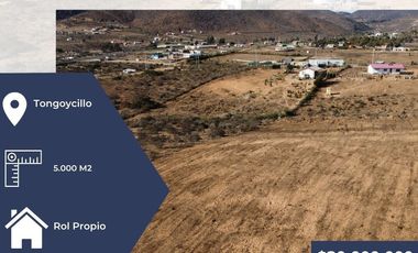 Venta de terreno tongoycillo 5000 m2