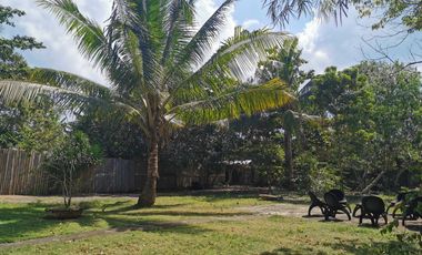 Lot for Sale located in Tawala, Panglao Island, Bohol