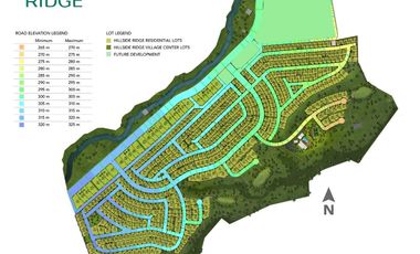 Rush Sale Lot in Hillside Ridge 30k Per sqm Below Market Value Near Chiangkai Shek Silang Cavite assume balance!