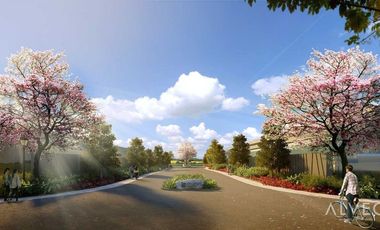 Rush Sale Lot in Hillside Ridge 30k Per sqm Below Market Value Near Chiangkai Shek Silang Cavite assume balance!
