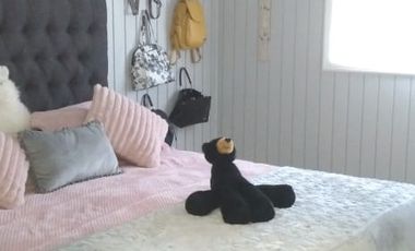 CASA EN PARCELA 5400 MTS ²,  4 DORMITORIOS 2 BAÑOS, ANGOL