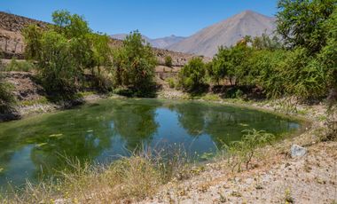 Venta de Parcelas en San Isidro, Valle del Elqui. 5.000 m2. Desde $58 millones