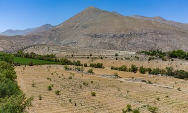 Venta de Parcelas en San Isidro, Valle del Elqui. 5.000 m2. Desde $58 millones