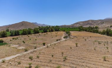 Venta de Parcelas en San Isidro, Valle del Elqui. 5.000 m2. Desde $58 millones