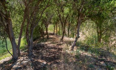 Venta de Parcelas en San Isidro, Valle del Elqui. 5.000 m2. Desde $58 millones