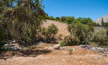 Venta de Parcelas en San Isidro, Valle del Elqui. 5.000 m2. Desde $58 millones