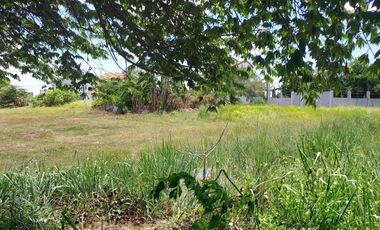 205 sqm. Lot for Sale in Southplains Executive in Dasmarinas Cavite