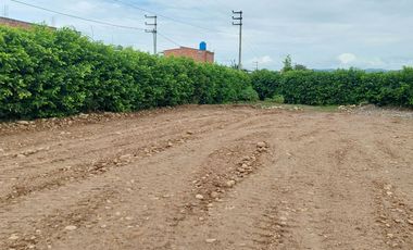 VENDO / ALQUILO TERRENO 1.0 HA EN VIA DE EVITAMIENTO, TARAPOTO - PERÚ