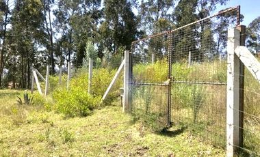 Dos excelentes lotes en venta 4.150m2c/u sector Chuquipata (UNAE) $290.000dlrs. c/u
