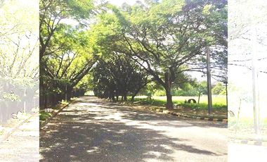 LOT FOR SALE IN PARANAQUE CITY