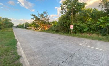 Commercial/Residential Lot for Sale located in San Isidro, Dauis, Panglao Island, Bohol
