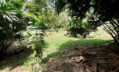 VENDO FINCA MELGAR TOLIMA. VEREDA  AGUILA BAJA