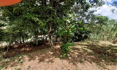 VENDO FINCA MELGAR TOLIMA. VEREDA  AGUILA BAJA