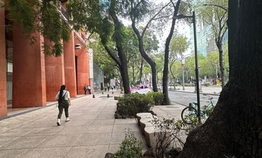 Se Vende Lujoso  Departamento en Reforma 27