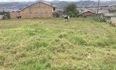 Terreno esquinero en venta 980m2 a 3 cuadras del Hotel Oro Verde