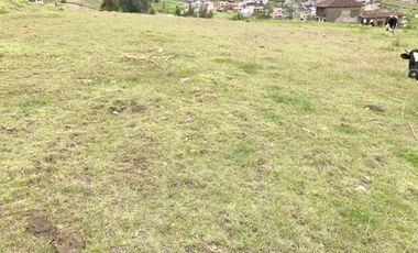 Terreno esquinero en venta 980m2 a 3 cuadras del Hotel Oro Verde