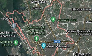 Commercial Lot for sale in Metro Manila