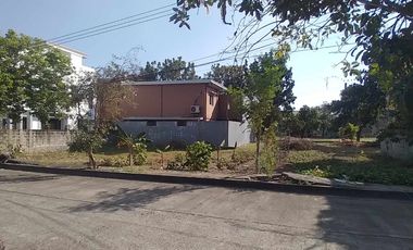 Lot for Sale in Punta Verde Angeles City