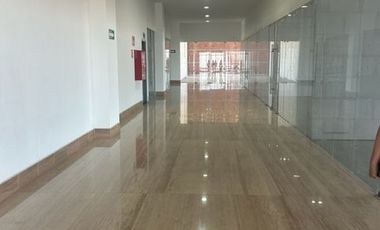 CAMPANARIO 2 LOCALES NUEVOS 112 M² Y 152 M² JUNTOS EN TORRE CORPORATIVA DE LUJO