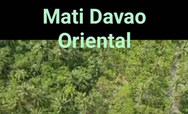 1.9 hectare Lot near Dahican Beach Resort in Mati Davao Oriental