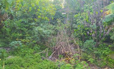 Rumah Mewah Siap Huni Masaran Sragen