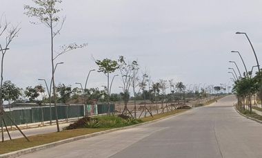 House and Lot For Sale in Cavite near  ALABANG and DE LA SALLE VERMOSA