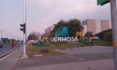 House and Lot For Sale in Cavite near  ALABANG and DE LA SALLE VERMOSA