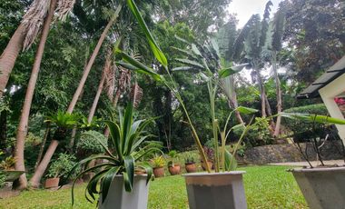EAST KALAYAAN, SUBIC BAY FREEPORT ZONE BEAUTIFUL HOUSE FOR SALE