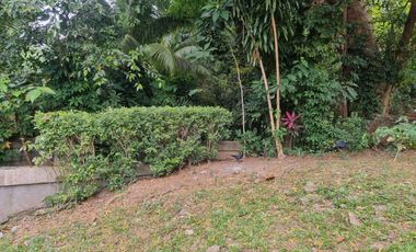 EAST KALAYAAN, SUBIC BAY FREEPORT ZONE BEAUTIFUL HOUSE FOR SALE