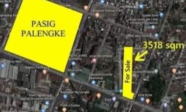 PRIME LOCATION!!! Pasig City Commercial Lot for Sale!!!