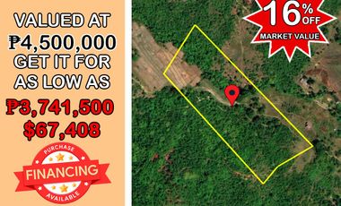 29,932 sqm Homestead Parcel of Land for sale in Puerto Princesa City