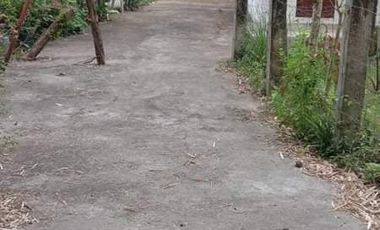 PRICE REDUCED!! HOME FOR SALE IN DUMAGUETE