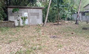 PRICE REDUCED!! HOME FOR SALE IN DUMAGUETE