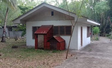 PRICE REDUCED!! HOME FOR SALE IN DUMAGUETE