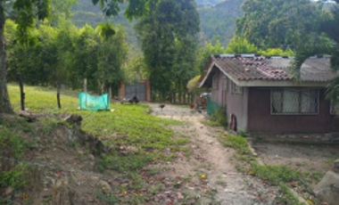 SE VENDE LOTES LOS COLOMOS MENZULY, PIEDECUESTA - SANTANDER