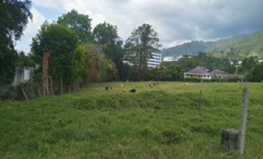 SE VENDE LOTES LOS COLOMOS MENZULY, PIEDECUESTA - SANTANDER