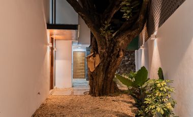 Magnífica Casa NUEVA con Alberca en privada en Buena Vista, Cuernavaca - VENTA