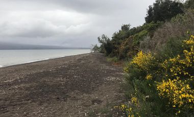 Parcelas sector Puerto Varas