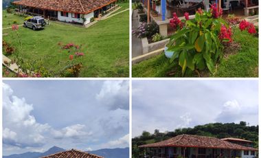 Venta Finca Recreo, Agrícola y Ganadera Santa Bárbara Antioquia