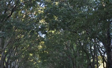 Chalet venta El Grosellar Permuta Mar del Plata