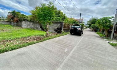 Residential/ Commercial Lot for SALE in Sta. Cruz Porac Pampanga