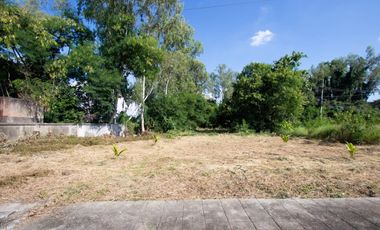 Land For Sale At Lanna Thani Village