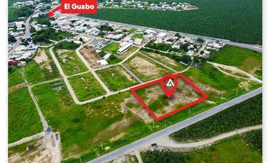 EN VENTA: 3780 m2 de terreno en El Guabo, El Oro