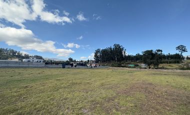 ALQUILER DE TERRENO EN PIFO VIA AEROPUERTO