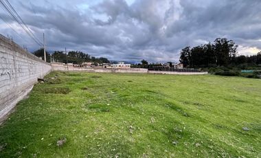 ALQUILER DE TERRENO EN PIFO VIA AEROPUERTO